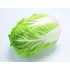 CHINESE CABBAGE 1KG