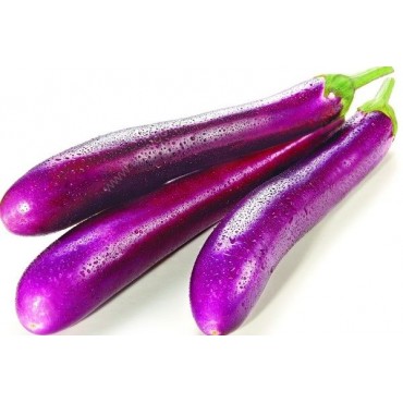 ASIAN AUBERGINE 6.6/1KG