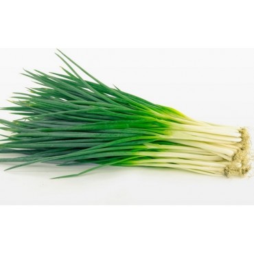 CHINESE CHIVES 1/U