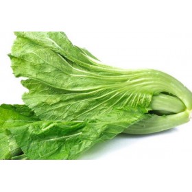 MOSTAZA (JIECAI) 1KG