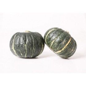 CHESTNUT PUMPKIN