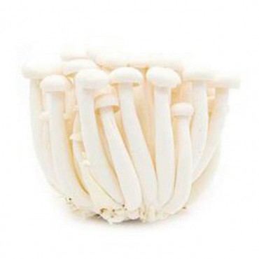 SHIMEJI MUSHROOM SNOW 150G