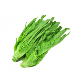 LACTUCA (YOUMAICAI) 1KG