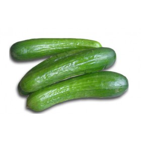 MINI PEPINO 1KG