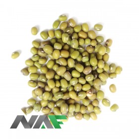 C1203 SOJA VERDE 25KG