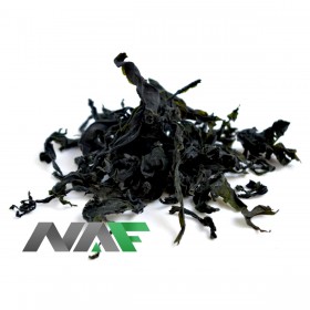 ALGAS NEGRAS SECAS 3/1KG