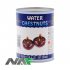 CHESTNUTS IN WATER 567g