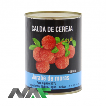 ARBUTUS EN JARABE 567g