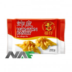 WONTON PASTRY FOR FRYING 250g