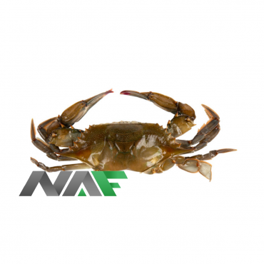 寿司螃蟹 55G*18PIEZAS