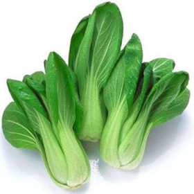 PAK CHOI 8/1KG