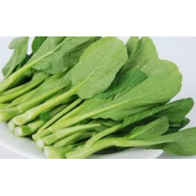菜心 7/1KG