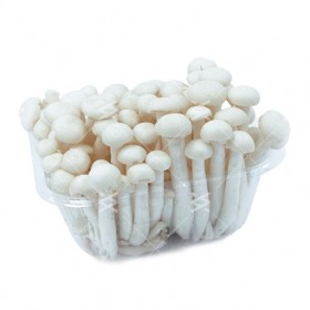 WHITE MUSHROOM (BAI YU GU) 40/150G